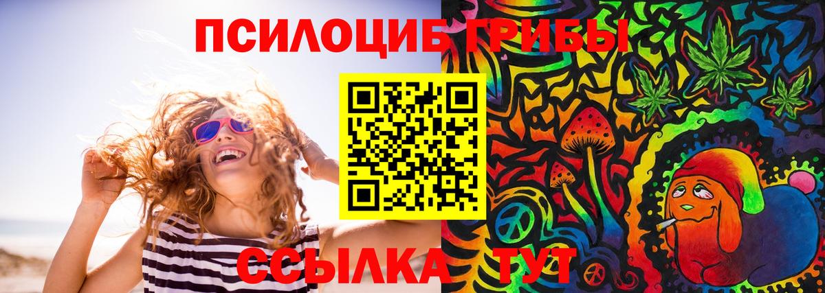 Галлюциногенные грибы Cubensis Сунжа