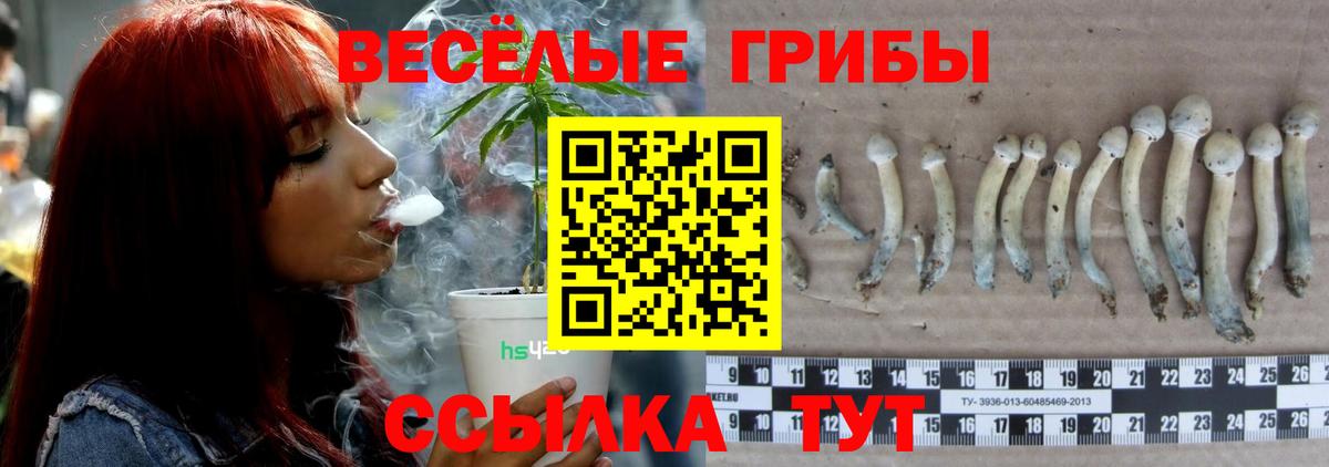 Галлюциногенные грибы ЛСД  Вход с VPN  Сунжа 
