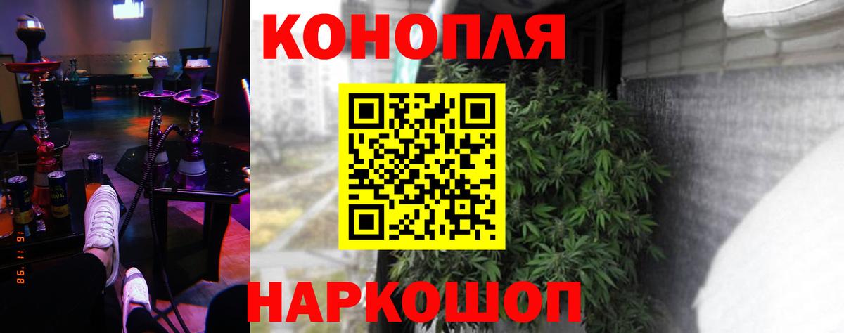 Бошки марихуана план  Марихуана Amnesia  Вход с VPN  МАРИХУАНА Amnesia  Сунжа 